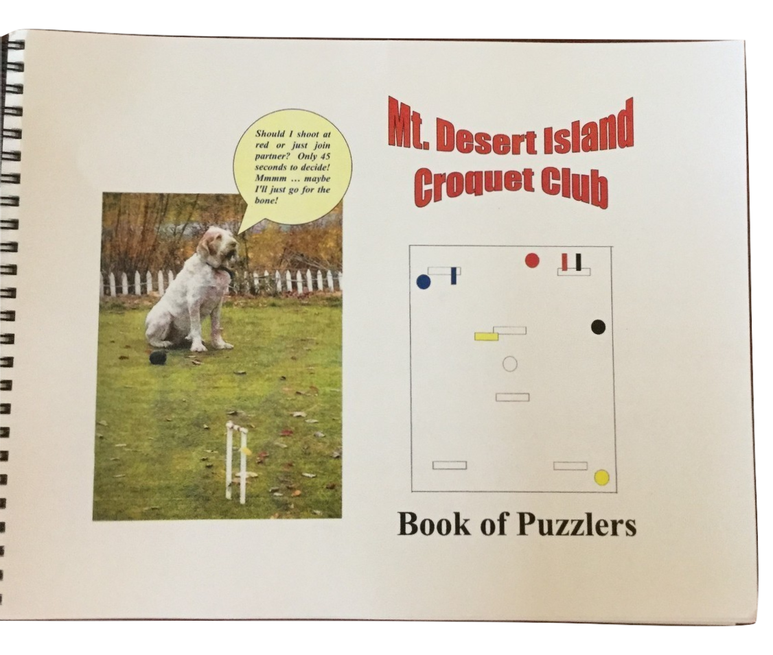Croquet Puzzler Book
