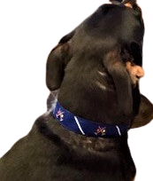 Dog Collar